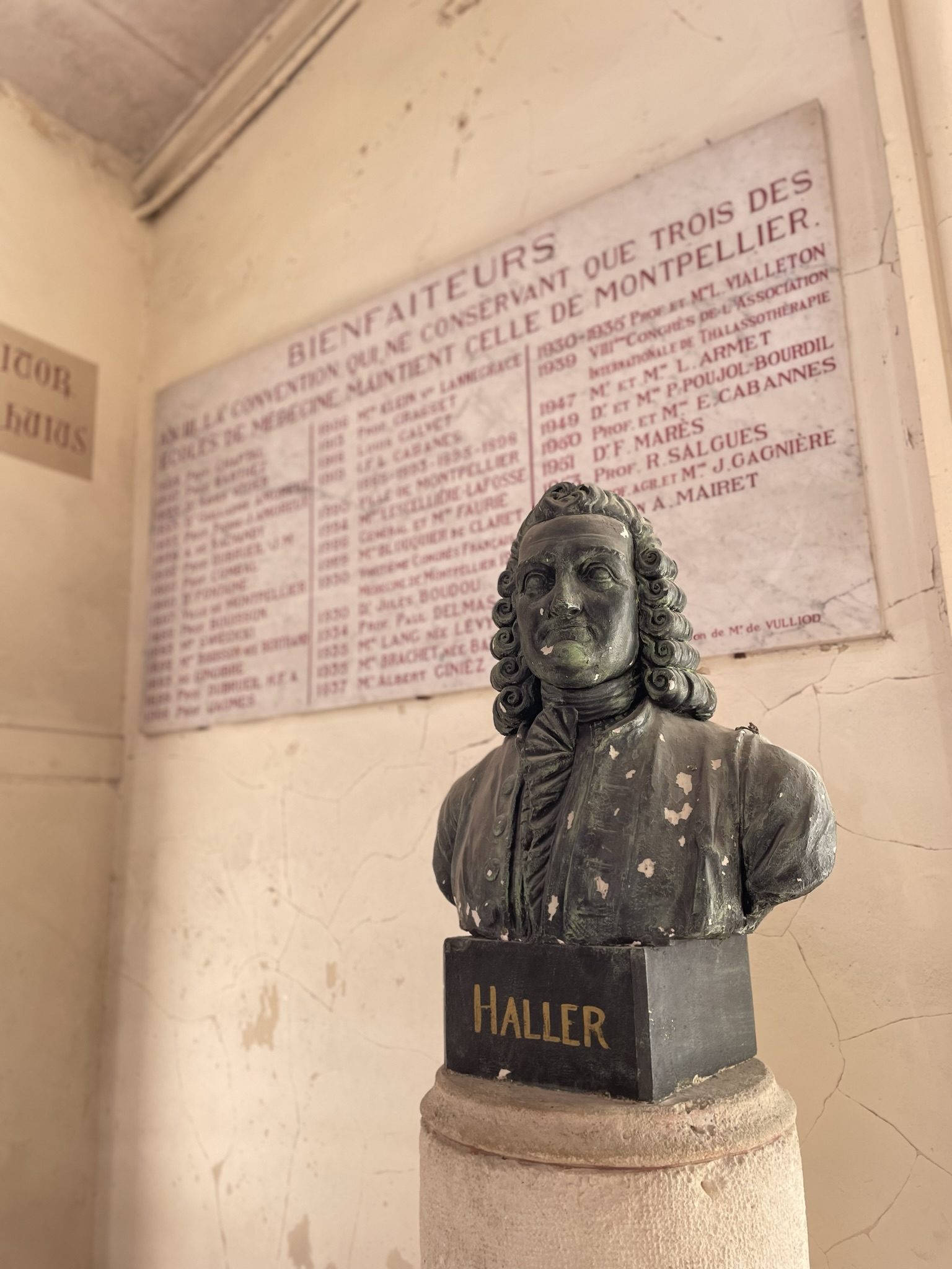 Haller's bust, Montpellier (by Andrea Angelucci).JPEG